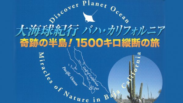 大海球紀行バハ・カリフォルニア 奇跡の半島！1500キロ横断の旅