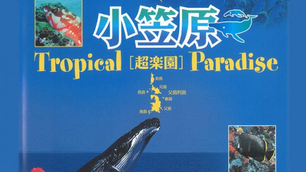 小笠原　[超楽園]　Tropical Paradise