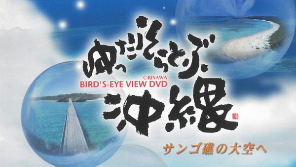 ゆったりそらとぶ沖縄　サンゴ礁の大空へ