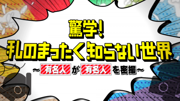 驚学！私のまったく知らない世界　〜有名人が有名人を密撮〜